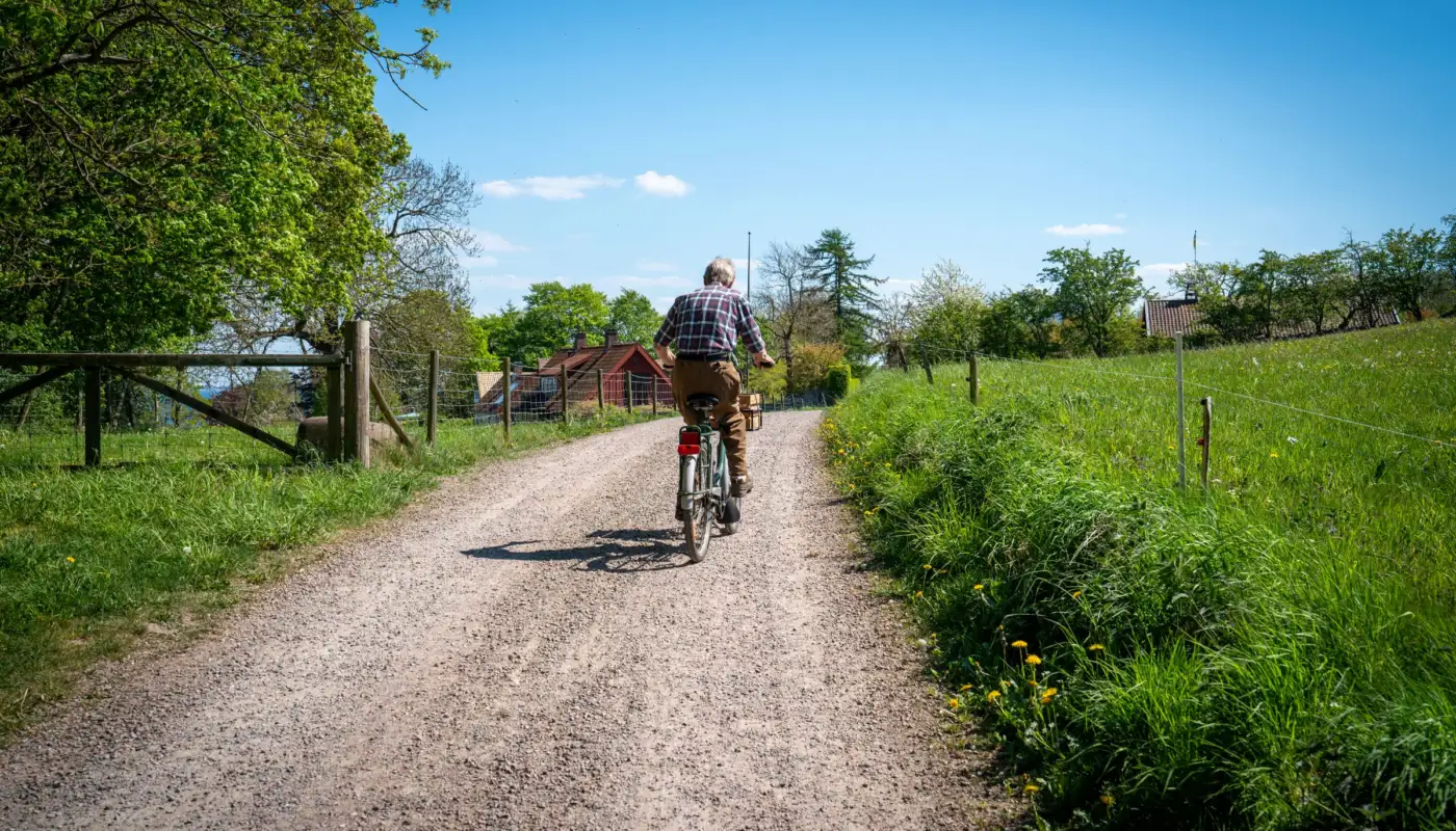 Cycliste sur un chemin de gravier en pleine campagne, illustration