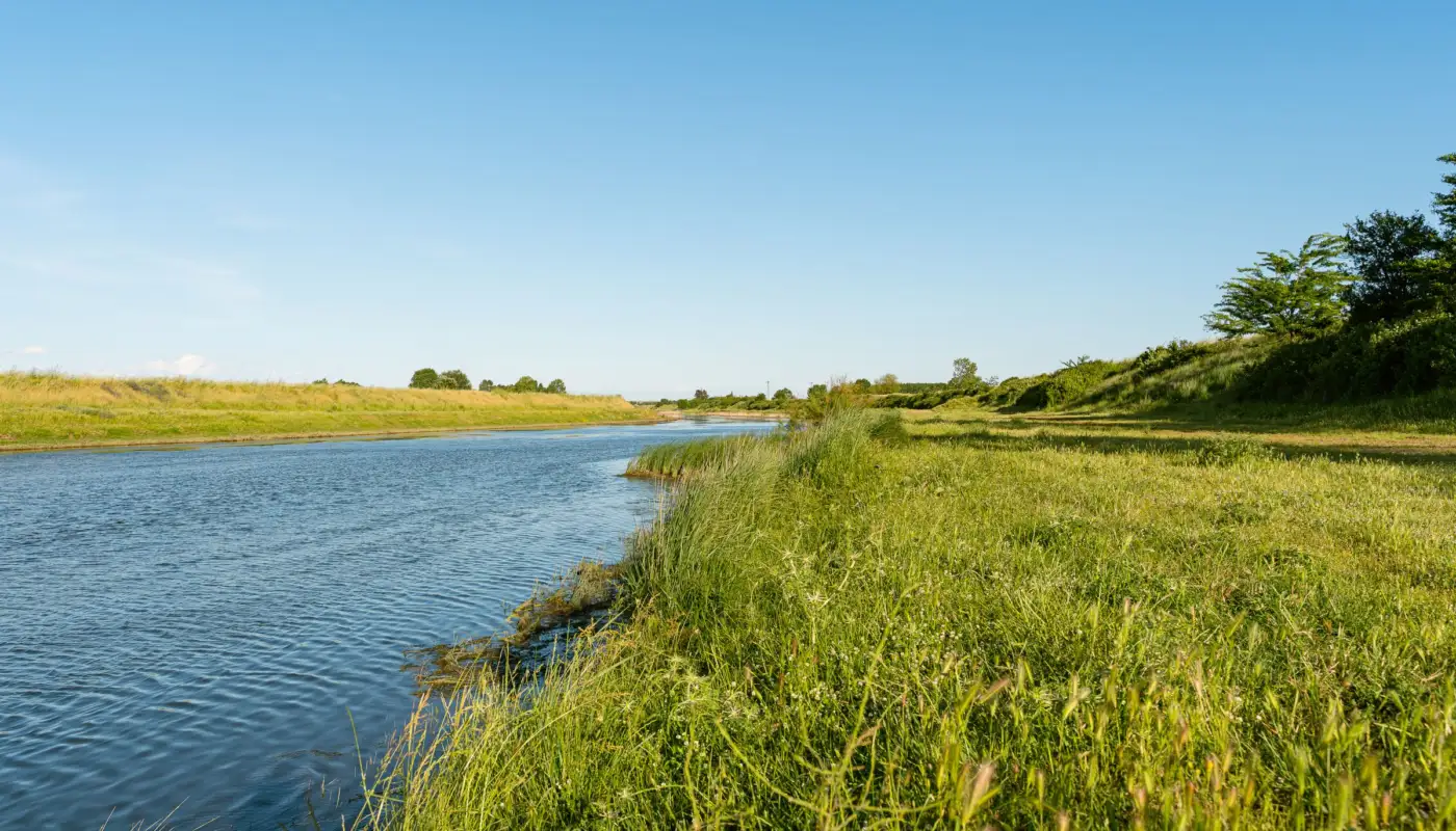 Rivière calme bordée de végétation dans la campagne française, illustration