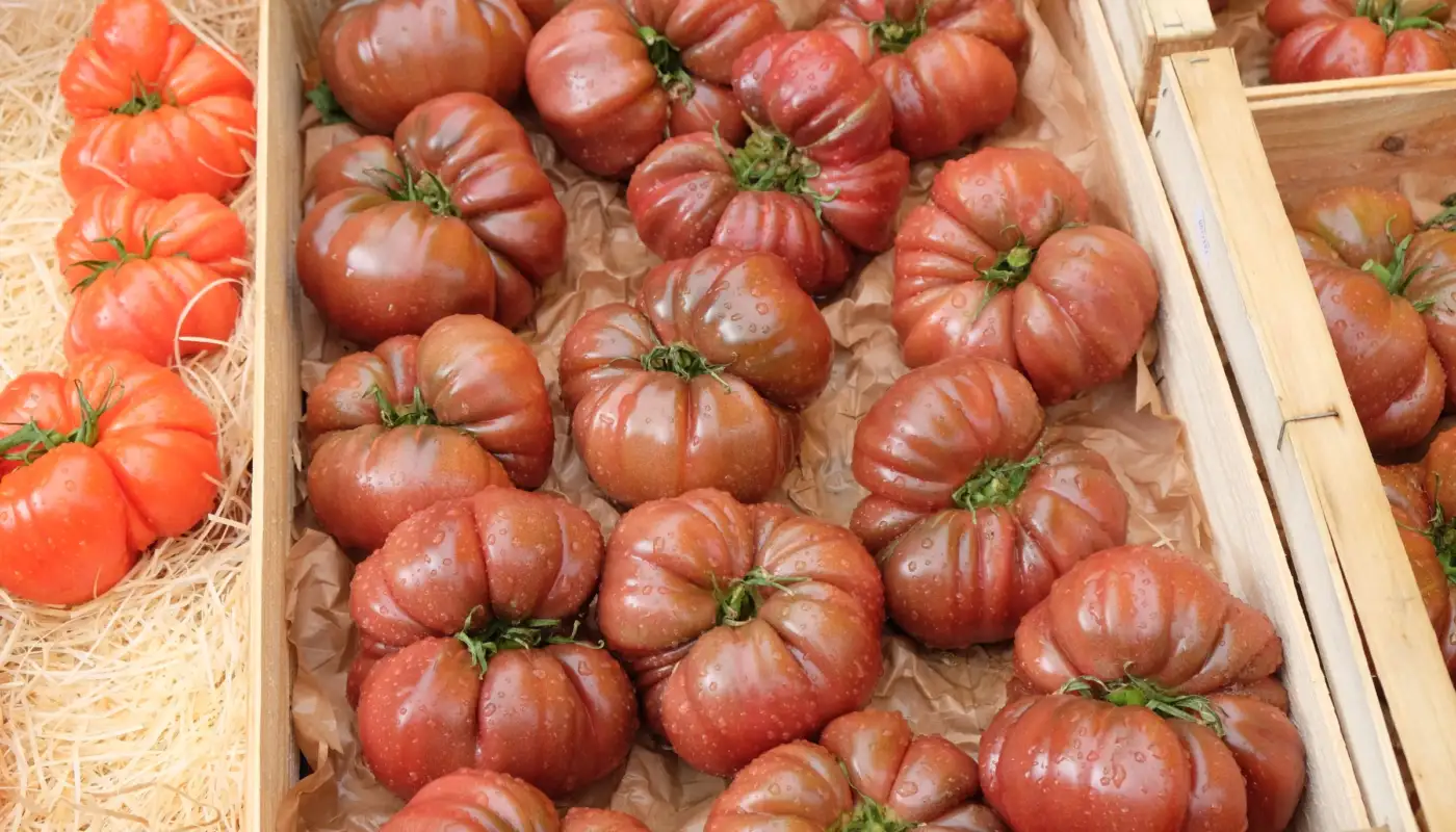 Étal de tomates anciennes fraîches sur un marché en plein air français